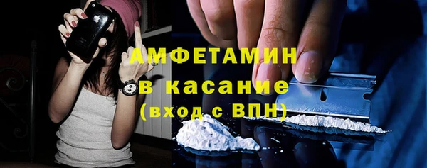 прущие грибы Магадан