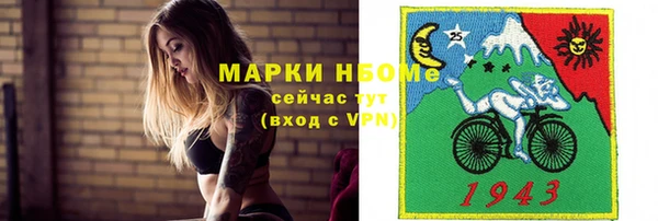 прущие грибы Магадан
