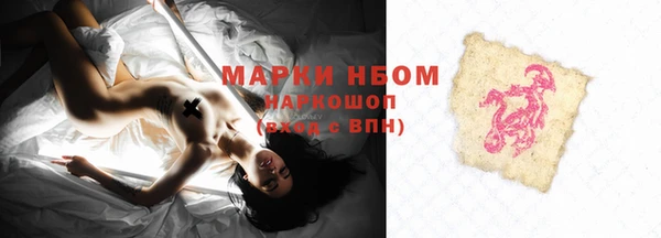 ECSTASY Майский