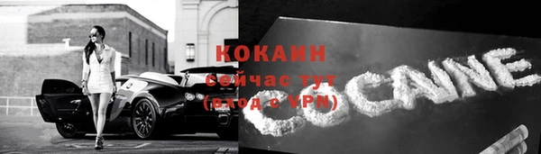 прущие грибы Магадан