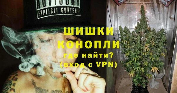 прущие грибы Магадан