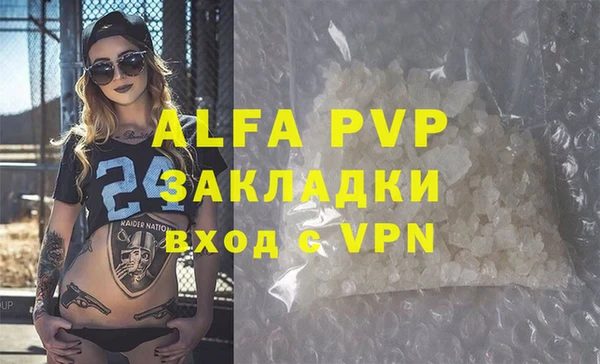 прущие грибы Магадан