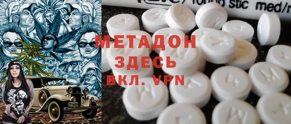 прущие грибы Магадан