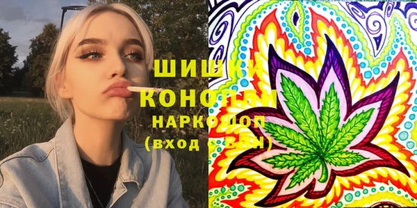 прущие грибы Магадан
