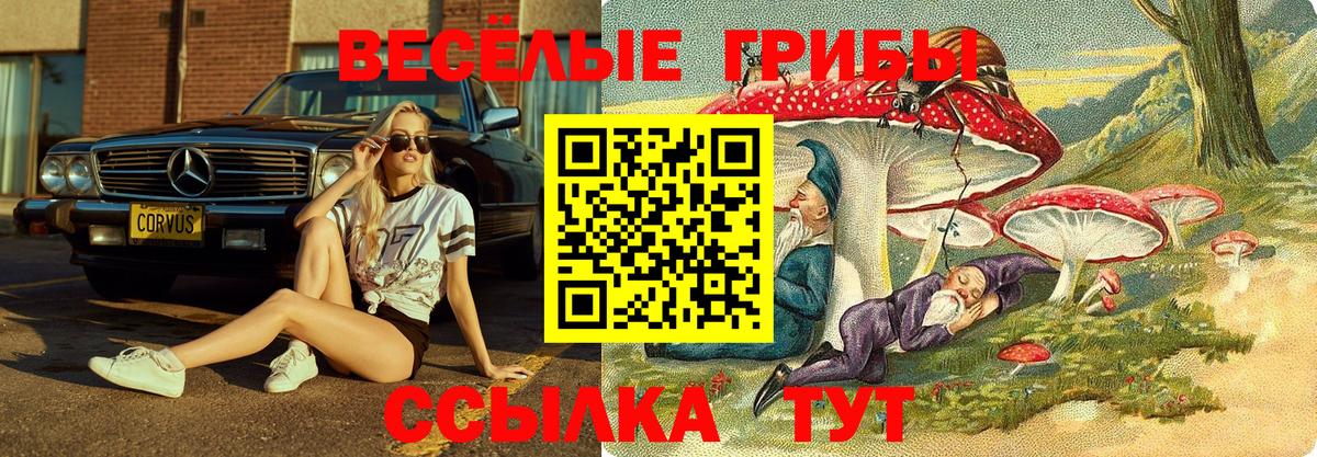 Псилоцибиновые грибы Magic Shrooms Орск