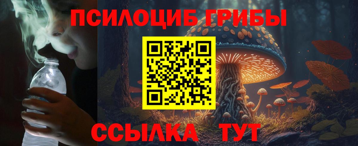 Галлюциногенные грибы Psilocybine cubensis  Вход с VPN  Галлюциногенные грибы мухоморы  Орск 
