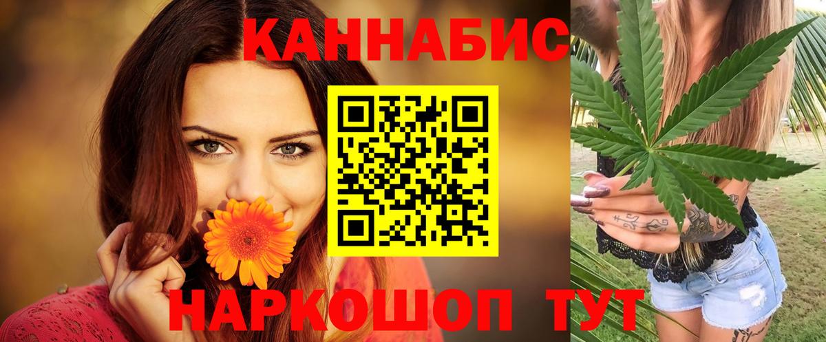 Бошки Шишки гибрид  Каннабис MAZAR  Канабис семена  Орск  Вход с VPN 